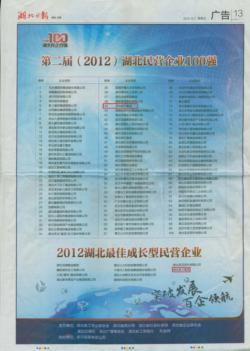 湖北民營(yíng)企業(yè)100強(qiáng)，程力集團(tuán)排名39位
